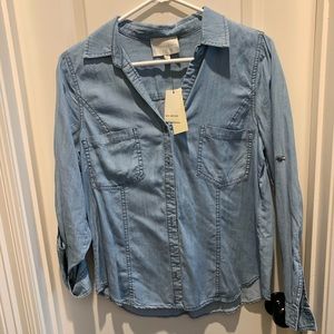 Skies are blue button down